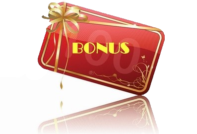 Подсистема «Бонусные карты»